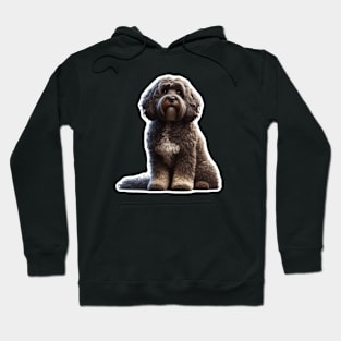 Barbet Hoodie